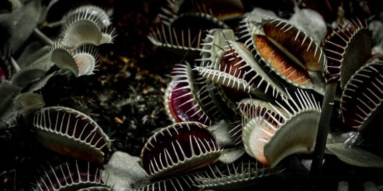 Featured image for: 5 Predatory Debt Traps to Avoid at All Costs